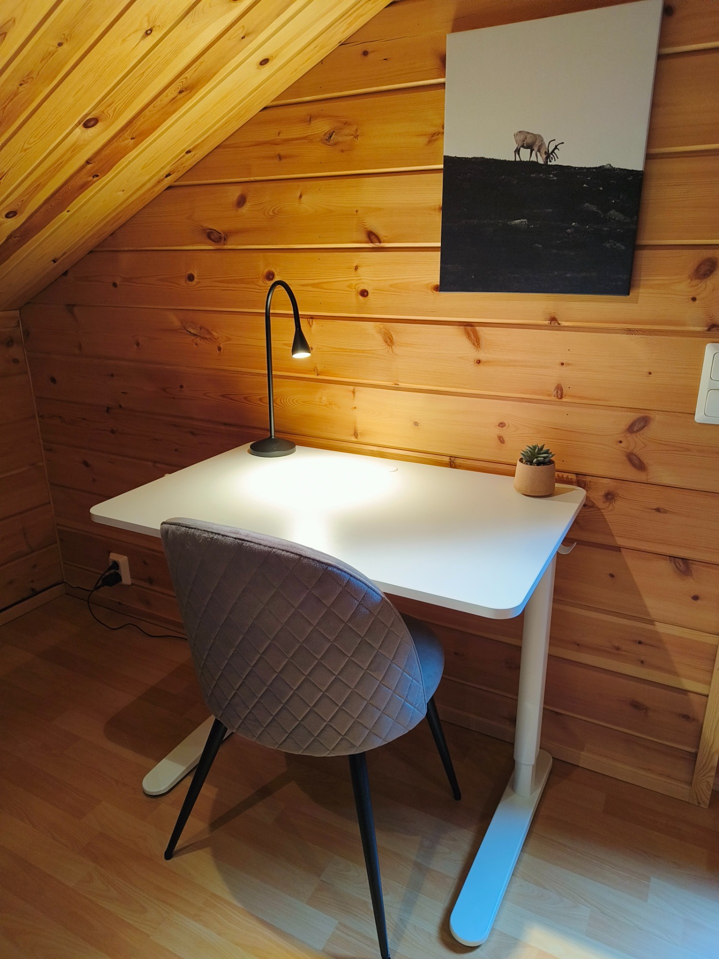 Säädettävä työpöytä + 5G- nettiyhteys (Kaarni-mökki)